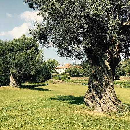 Willa Celebration Or Event & At Casa Dos Macieis, Private Pool, Camino Santiago Direct Access & Optional Agritourism