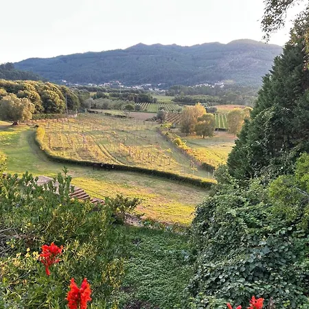 Celebration Or Event & At Casa Dos Macieis, Private Pool, Camino Santiago Direct Access & Optional Agritourism *