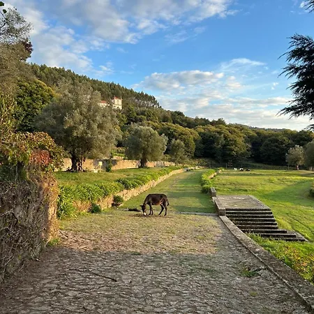 Willa Celebration Or Event & At Casa Dos Macieis, Private Pool, Camino Santiago Direct Access & Optional Agritourism *