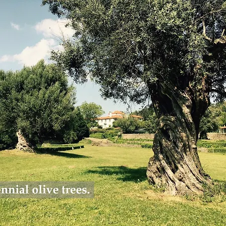 Celebration Or Event & At Casa Dos Macieis, Private Pool, Camino Santiago Direct Access & Optional Agritourism Villa