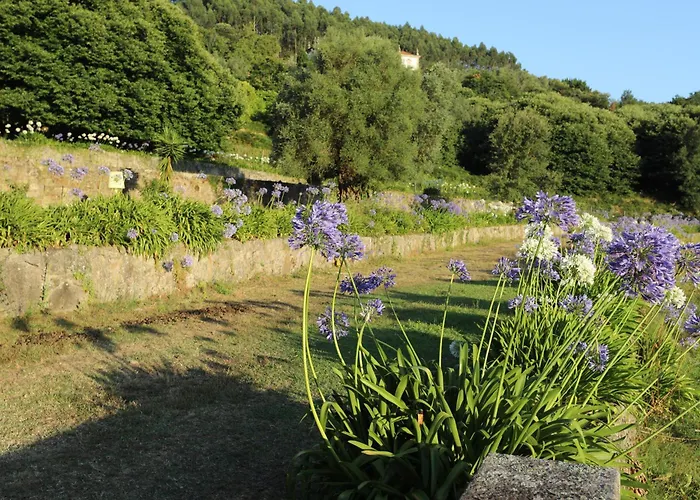 Villa Celebration Or Event & At Casa Dos Macieis, Private Pool, Camino Santiago Direct Access & Optional Agritourism