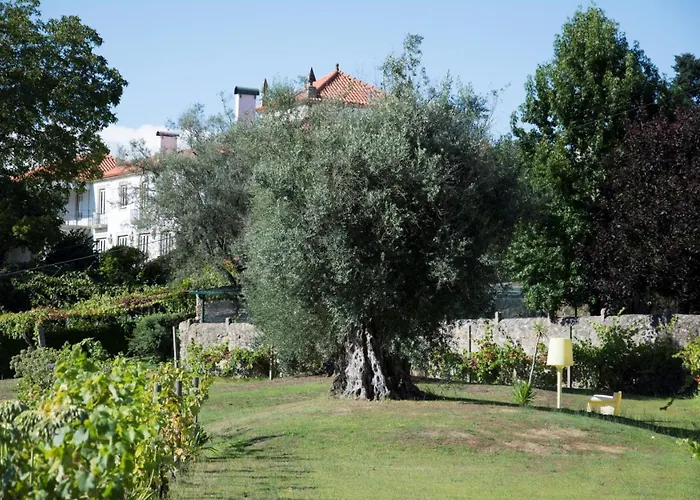 Vila Celebration Or Event & At Casa Dos Macieis, Private Pool, Camino Santiago Direct Access & Optional Agritourism Facha