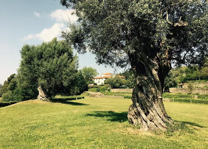 Vila Celebration Or Event & At Casa Dos Macieis, Private Pool, Camino Santiago Direct Access & Optional Agritourism