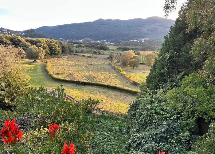 Celebration Or Event & At Casa Dos Macieis, Private Pool, Camino Santiago Direct Access & Optional Agritourism *