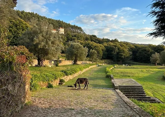 Villa Celebration Or Event & At Casa Dos Macieis, Private Pool, Camino Santiago Direct Access & Optional Agritourism *