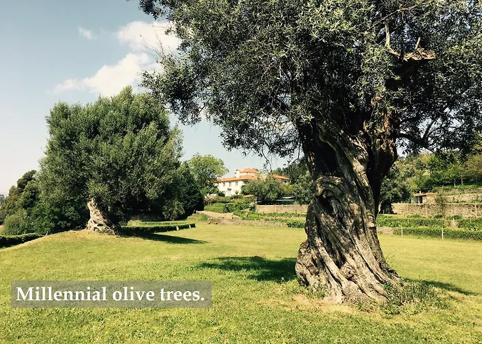 Celebration Or Event & At Casa Dos Macieis, Private Pool, Camino Santiago Direct Access & Optional Agritourism Villa